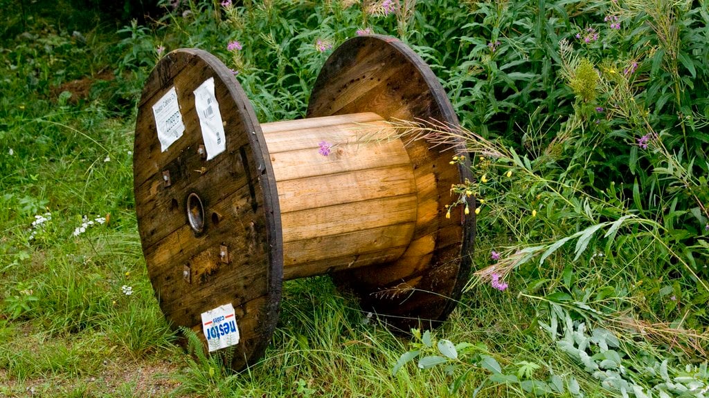 Valokuidun tarve harvaanasutuilla alueilla jatkuu